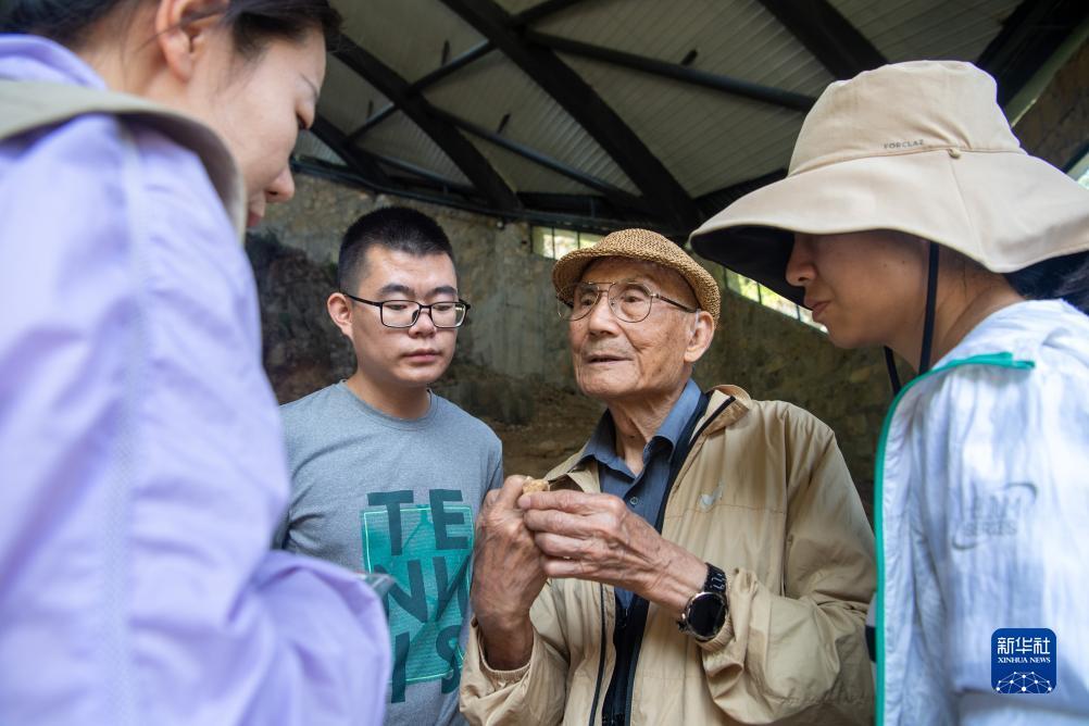 金沙网址